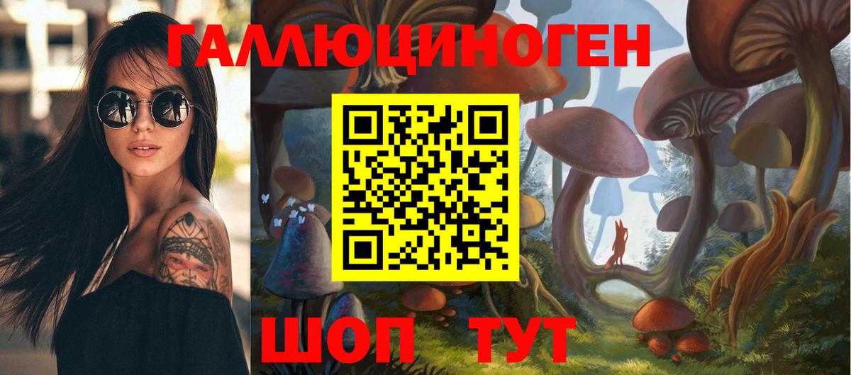Псилоцибиновые грибы MAGIC MUSHROOMS  где продают   Галлюциногенные грибы Psilocybine cubensis  Бор  Вход с VPN 